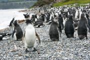 Foto: Tierra del Fuego. Gateway to the Icy Continent